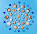 Pattern of seashells, starfish, and glass beads on a light blue background