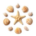 Pattern of seashells and starfish isolated on a white background Royalty Free Stock Photo