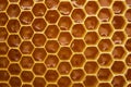 Pattern of a section of wax honeycomb from a bee hive filled with golden honey. Background texture