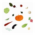 Pattern with a set of vegetables from pumpkin, carrot, tomato, onion, garlic, parsley leaves, dill, beetroot, radish, zucchini and