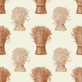Pattern of the sheafs of wheat Royalty Free Stock Photo