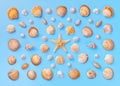 Pattern of seashells and starfish on a light blue background. Royalty Free Stock Photo