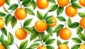 Close-up Pattern of Ripe Oranges with Green Leaves and White Flowers on White Keywords: orange, citrus, fruit Royalty Free Stock Photo