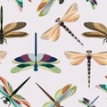 Pattern of silhouettes of dragonflies