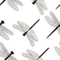 Pattern of silhouettes of dragonflies