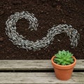 A pattern of silver-gray seed husks arranged in a swirling design on dark, rich soil. In Royalty Free Stock Photo