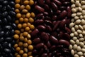 A pattern that skillfully interconnects diverse types of beans Royalty Free Stock Photo