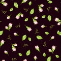 Pattern with small buds roses