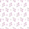 Pattern with small magnolias Royalty Free Stock Photo