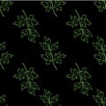 A pattern of a sprig of green parsley on black. seamless pattern of hand-drawn twig green outline of parsley in sketch style,