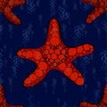 Pattern with starfish Royalty Free Stock Photo
