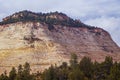 The pattern in stone of Checkerboard Mesa in Zion National Park. Royalty Free Stock Photo