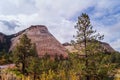 The pattern in stone of Checkerboard Mesa ,Zion National Park. Royalty Free Stock Photo