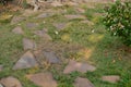 Walking path made of stone in the garden.