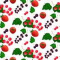 Pattern with strawberries, black and red currants. Summer illustration with berries.