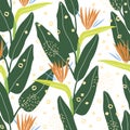 Pattern with strelitzia