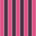 Pattern stripe seamless, Potent Purple Color mix with Fandango Pink. Background color for graphic design, banner, poster. Color