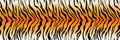 Pattern striped tiger or zebra skin print background, long banner animal fur, hair skin texture, seamless