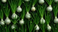 Pattern Strong green garlic pattern