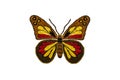 Stylized motley butterfly for embroidery on white background Royalty Free Stock Photo