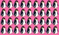 Pattern of stylized baby penguins. Pink background.