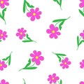 pattern stylized pink kosmeya flowers Royalty Free Stock Photo