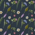 Wildflowers pattern on a navy blue background Royalty Free Stock Photo