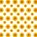 Pattern sunflower background vector illustration Royalty Free Stock Photo