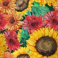 Pattern of sunflowers with gerbera flowers Royalty Free Stock Photo