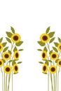 Pattern of sunflowers isolated icon