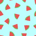 Pattern of sweet juicy pieces watermelon, watermelon slices with seed