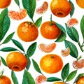 Pattern of tangerines or mandarins or clementines with leaves and slices. citrus pattern on white background. Orange Royalty Free Stock Photo