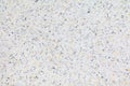 Pattern terrazzo floor or marble beautiful old texture, polished stone wall for background