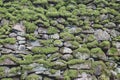 Pattern and texture background of old stone wall covered with clumps of green moss Royalty Free Stock Photo