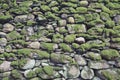 Pattern and texture background of old stone wall covered with clumps of green moss Royalty Free Stock Photo