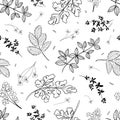 Creative seamless pattern in trendy doodle style. Vector background  with hand drawn texture and leaves. Abstract natural elements Royalty Free Stock Photo