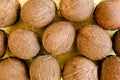 Pattern, texture with coconuts on white background. Tropical abstract background. Flat lay, top view. Royalty Free Stock Photo