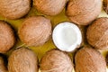 Pattern, texture with coconuts on white background. Tropical abstract background. Flat lay, top view. Royalty Free Stock Photo
