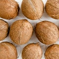 Pattern, texture with coconuts on white background. Tropical abstract background. Flat lay, top view. Royalty Free Stock Photo