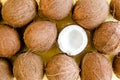 Pattern, texture with coconuts on white background. Tropical abstract background. Flat lay, top view. Royalty Free Stock Photo