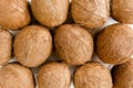 Pattern, texture with coconuts on white background. Tropical abstract background. Flat lay, top view. Royalty Free Stock Photo