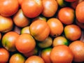 Pattern texture, of fresh picked mediterranean yellow tomatoes, shot