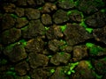 Green rock background Royalty Free Stock Photo
