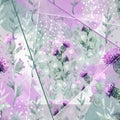 A pattern with thistle flowers on a white background. A pattern with field pink watercolor flowers Royalty Free Stock Photo