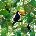 Pattern with tropical leaves and bird toucan on a branch