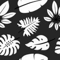 Pattern 4 Of Tropical Leaves