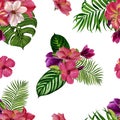 Pattern with tropical plants for fabric, wallpaper and wrapping paper. Watercolor illustration of hand painting. Royalty Free Stock Photo