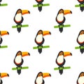 Pattern with tucan