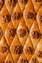 Pattern Turkish baklava with walnuts in honey glaze. Oriental sweet pastry top view Royalty Free Stock Photo