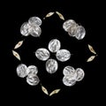 Pattern of unusual leaves with a tip isolated on a black background. Texture of silver leaves. Ecostyle, natural materials. Autumn